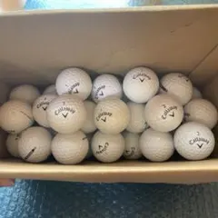 Item thumbnail for item ff3e63e5-efeb-42a1-a001-aae8ccf9c36f