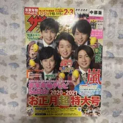 ザテレビジョン 2020-2021お正月超特大号
