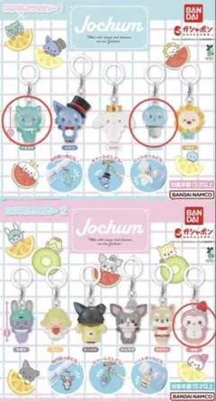 JOCHUM めじるしアクセサリー1 2