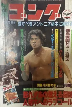 2026年最新】別冊ゴングの人気アイテム - メルカリ