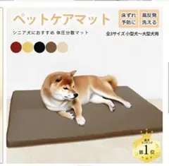 Item thumbnail for item 6e36165f-7075-4f1e-98b2-4ca852c12aff