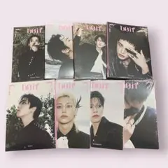 Stray Kids スキズ DO IT アコーディオン　コンプ　未開封