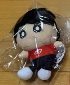 猪戸周杜 ぬいぐるみ WAIWAI RADIO 8iper timelesz WAIWAI RADIO♪ボイスマスコット 8iper 猪戸 周杜 2点セット