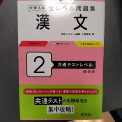 大学入試 全レベル問題集 漢文