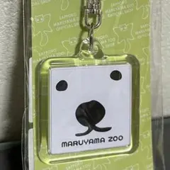 新品未開封　円山動物園　しろくま　キーホルダー