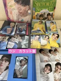 SEVENTEEN WOOZI CARAT カラット盤　ウジ　まとめ