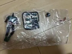 shodo 掌動　仮面ライダーvs 旧１号　桜島ver