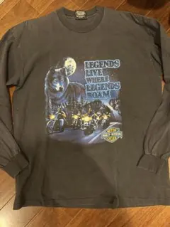 ハーレーダビットソン　ロンT