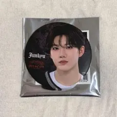 TREASURE PULSE ON ツアー 缶バッジ ジュンギュ ①