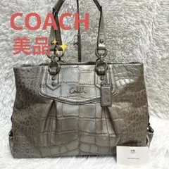 COACH スパンコール ショルダーバッグ シルバー - メルカリ