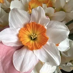 chamomile様 リクエスト 2点 まとめ商品