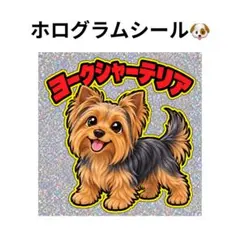 ホログラムシール　ヨークシャーテリア　ヨーキー　犬　キラキラ