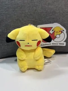 ポケモン30周年 ピカチュウ ぬいぐるみマスコット 完売品 中国限定 ①⑤