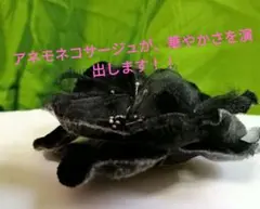 アネモネ　コサージュ　オーガンジーにベルベット