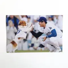 大谷 翔平選手 & デコピン フォト KGサイズ E