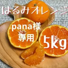 ※pana様専用　和歌山県由良町産　はるみ　5kg