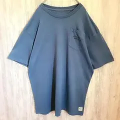 Eddie Bauer エディーバウアー Tシャツ L グレー 半袖