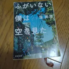 ふがいない僕は空を見た