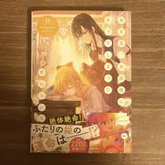 ある日、お姫様になってしまった件について 12巻