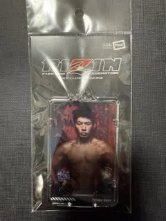 Item thumbnail for item 3b58ea3d-6f97-493b-8051-64495b6220c8