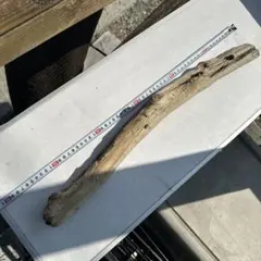 Item thumbnail for item 9d308f4e-855c-4c80-8452-4cb2e762e0e5