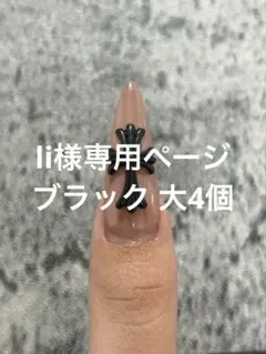 li様専用ページ
