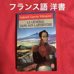 フランス語 洋書 Le Général dans son labyrinthe