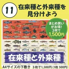 Item thumbnail for item 0c5f3310-c9f4-44dd-973e-ea31474425ab