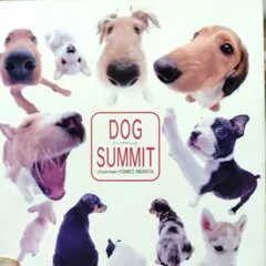 ドッグサミット　即購入可です！