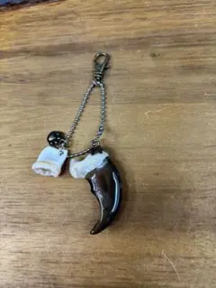 月の輪熊の爪　歯付き