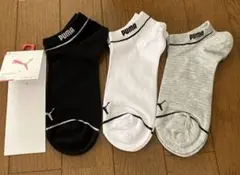 Item thumbnail for item 8cb30cbd-8726-41d3-be1e-3488948d91af