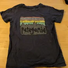 Patagonia グレー Tシャツ S