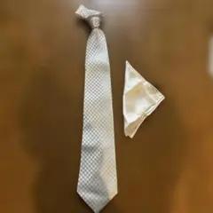 Item thumbnail for item 76b37f2d-a830-4295-8291-48ceb7534e5d