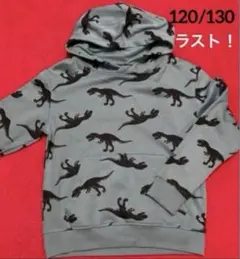 ☆新品☆H&M フード付きパーカー　トレーナー　恐竜　ソフト裏起毛　120 ①