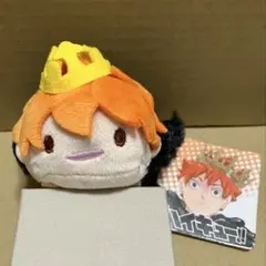 2026年最新】ハイキュー 日向 のるキャラの人気アイテム - メルカリ