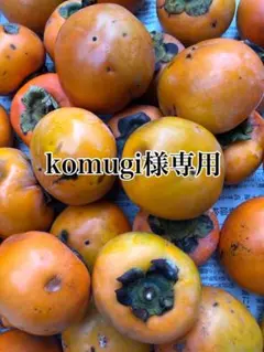 【お値打ち品】富有柿　甘柿　4kg 農薬不使用