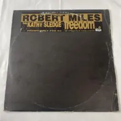 Robert Miles Feat Kathy Sledge – Freedom