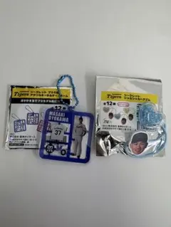 Item thumbnail for item d1fa2c02-c695-4386-b74c-81e31fdb36cf