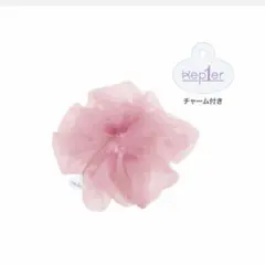 kepyoung様 リクエスト 2点 まとめ商品