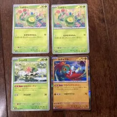 スボミー　シェイミ　ルチャブル