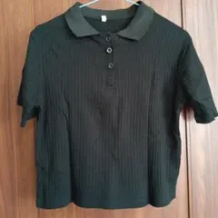 Item thumbnail for item d8a24e0c-2c73-452a-8ab9-8ac8ef5beb53