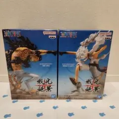 2026年最新】戦光絶景 ルッチの人気アイテム - メルカリ