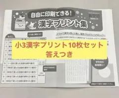3年生！10枚セット復習漢字プリント答えつき！新学社のサムネイル