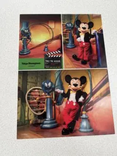 東京ディズニーランド ミッキー　ミートミッキー