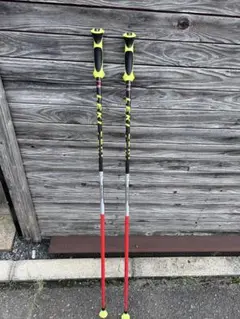 LEKI WORLD CUP RACINGストック 競技スキー用　120cm