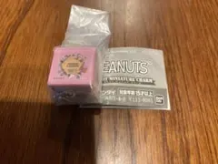 PEANUTS スヌーピー ビスケットミニチュアチャーム　エンボス缶(メープル)
