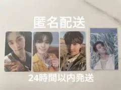 SEVENTEEN ディノ ４点セット