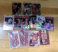 バレーボール日本代表 ウエハースカード 13枚セット