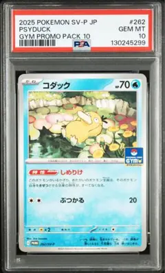 【PSA10】コダック ジムプロモ しめりけ 262/SV-P 102
