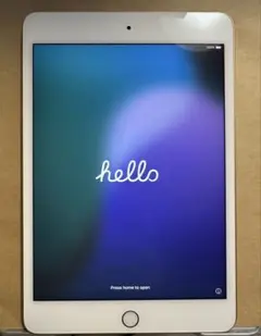 【美品】Apple iPad mini5 256G Wi-Fiモデル